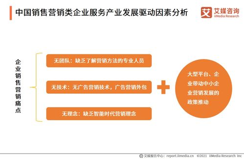 2021上半年中國(guó)企業(yè)服務(wù)專題研究報(bào)告 信息咨詢服務(wù)的發(fā)展與變革